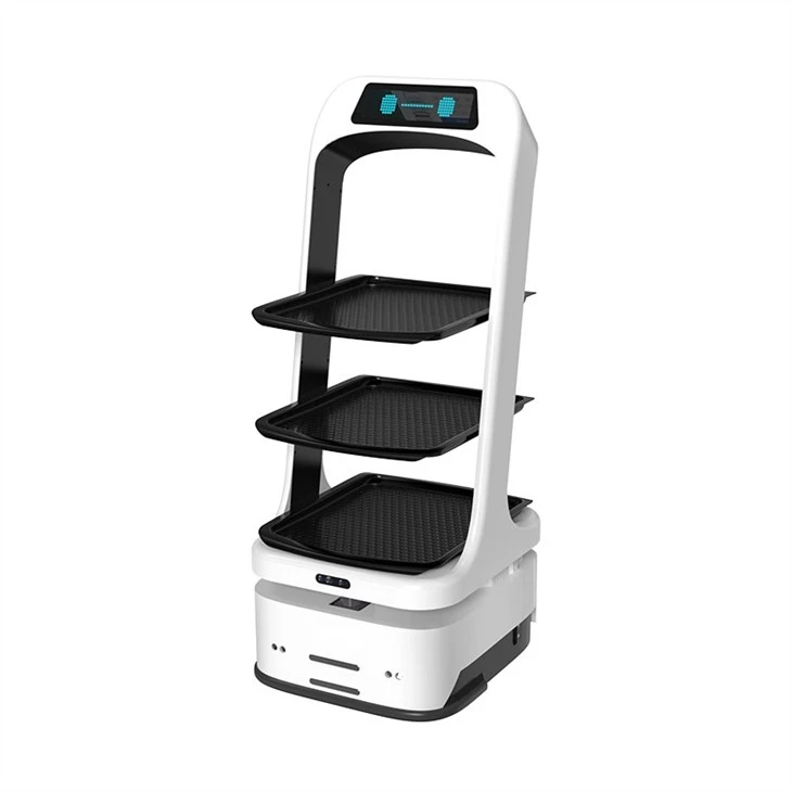 Food Delivery Robot
